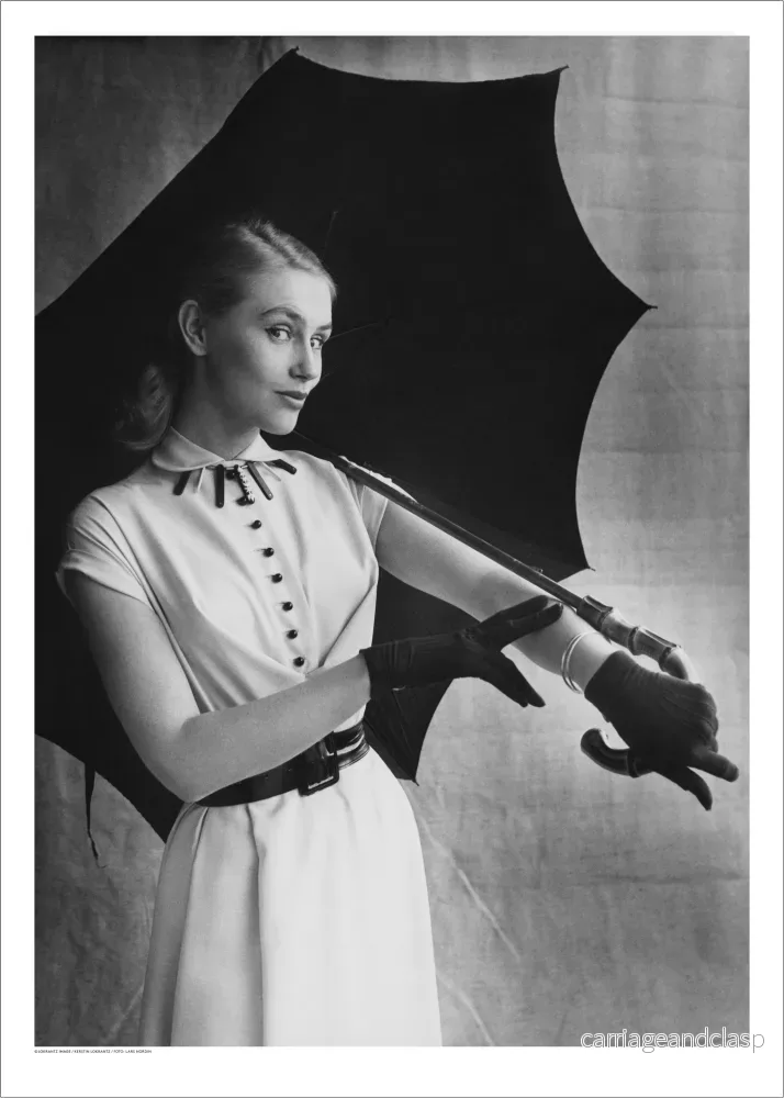 The Umbrella The Umbrella