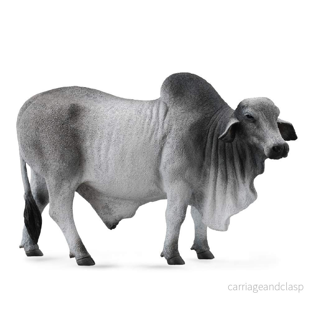 CollectA – Brahman Tjur CollectA – Brahman Tjur