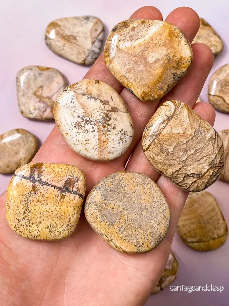 Bild Jasper Disc - Bild 2