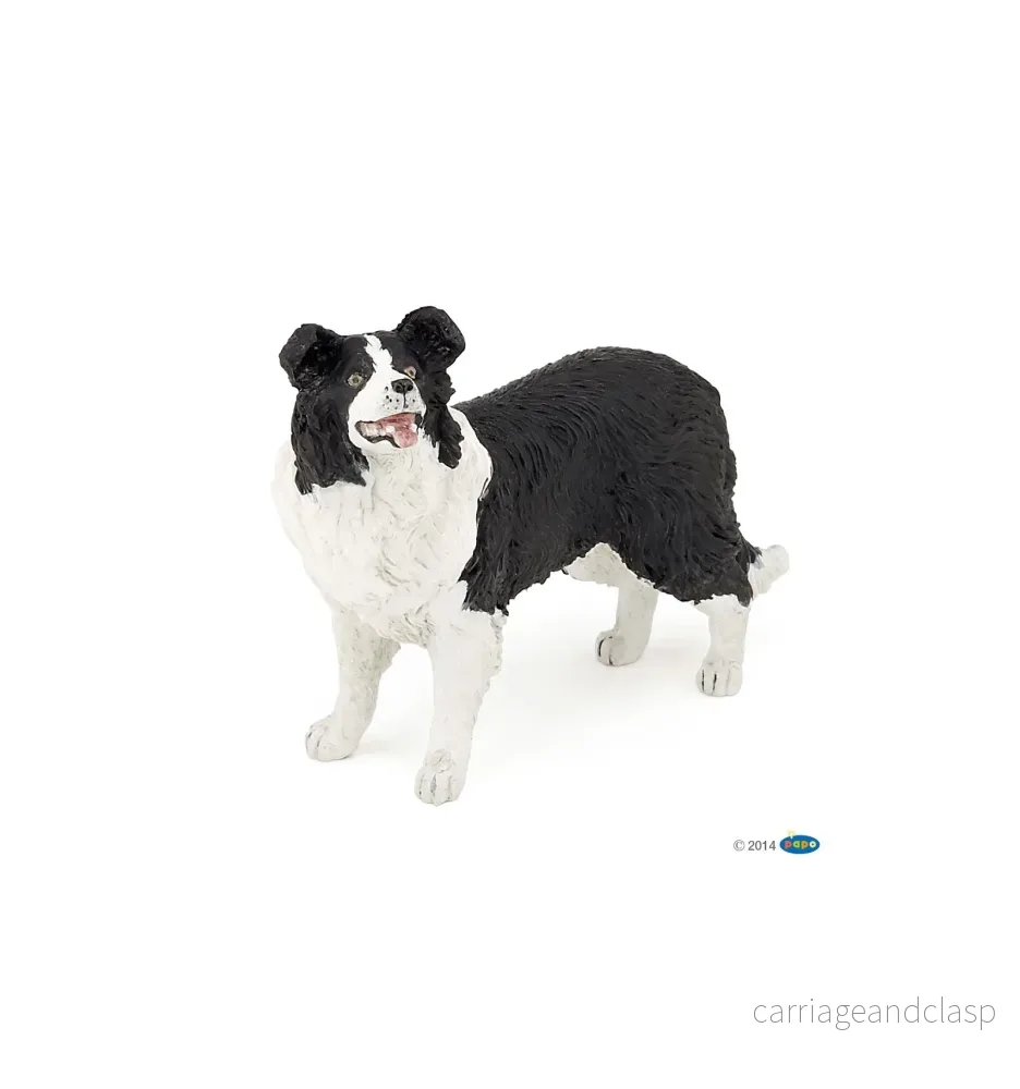 Papo - Border collie