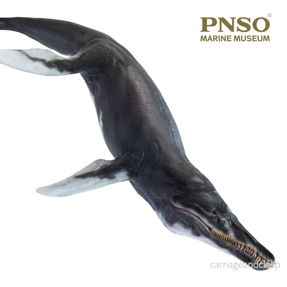 PNSO Jeff the Kronosaurus - Bild 3