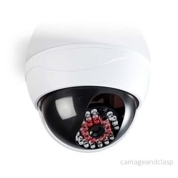 Nedis Dummy säkerhetskamera Dome IP44 Vit