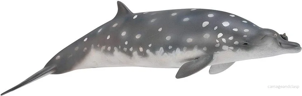 CollectA – Blainvilles näbbval CollectA – Blainvilles näbbval
