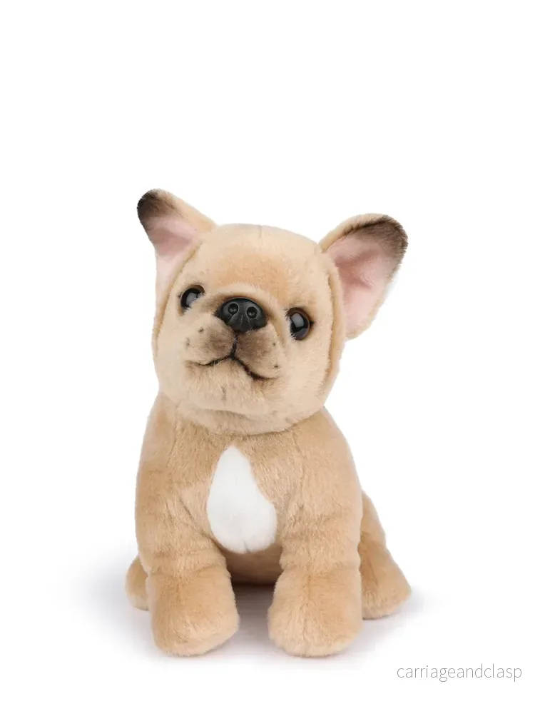B.T. Chaps - Philippe the French Bulldog