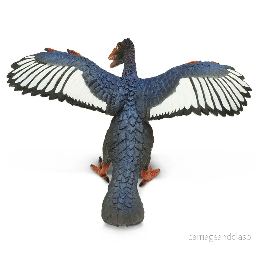 Safari Ltd - Archaeopteryx - Bild 3