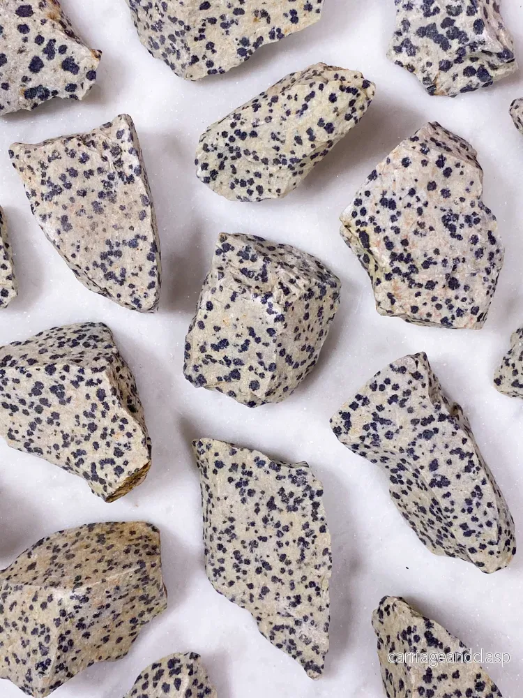 Dalmatiner Jasper Raw