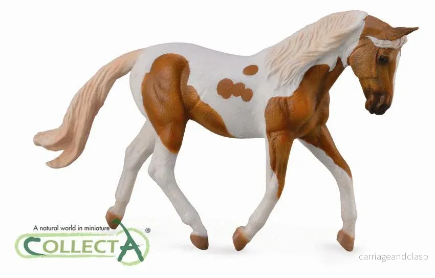 CollectA - Pinto - Sto Palomino