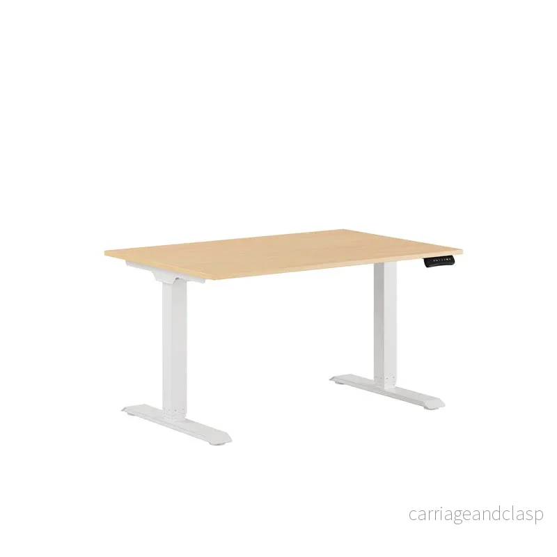 Premium Elektriskt höj- och sänkbart skrivbord 120x80cm - Bild 3