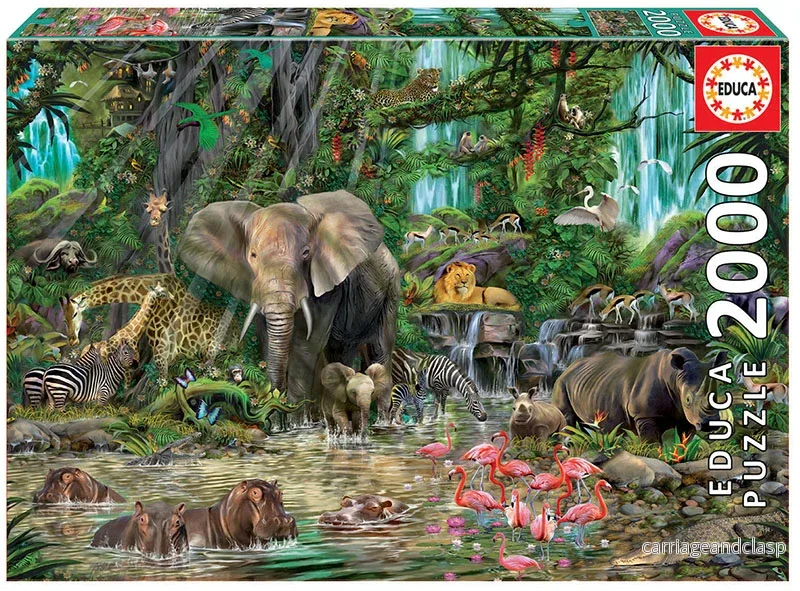 African jungle 2000 Educa®
