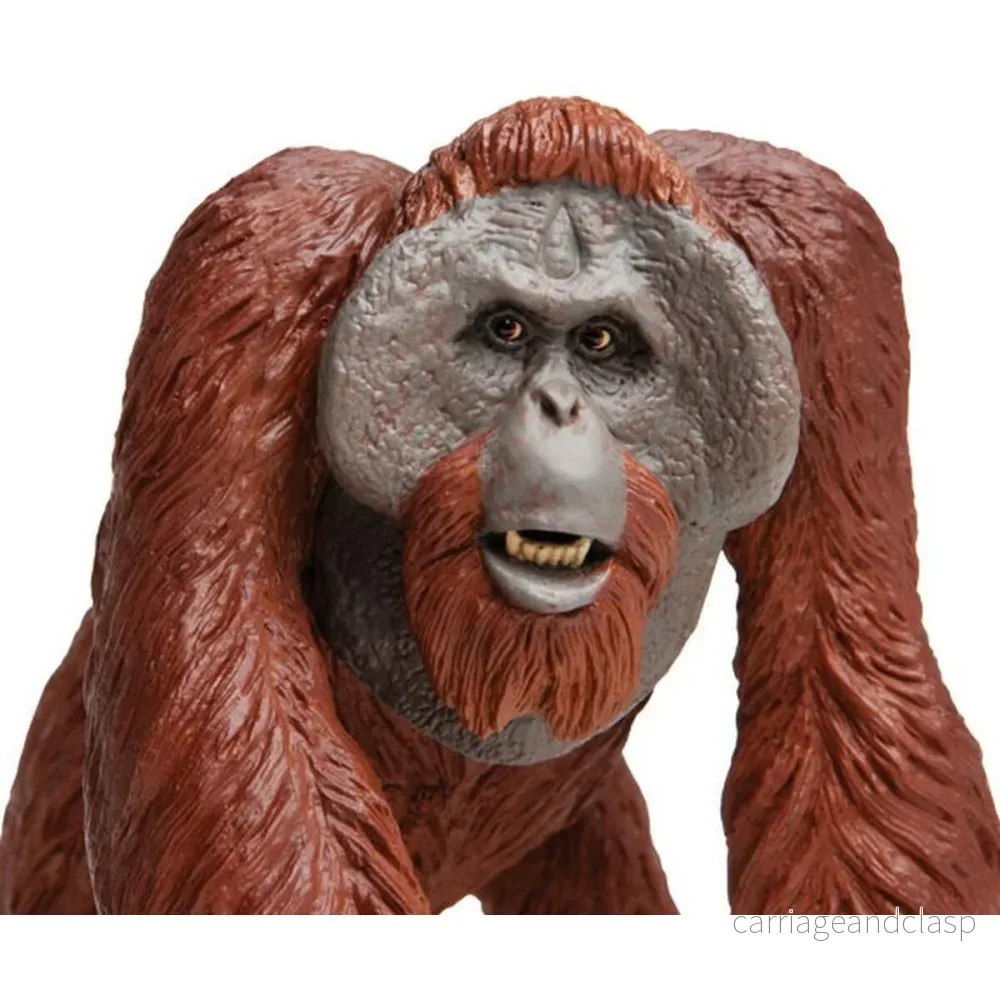 Safari Ltd - Borneoorangutang (stor modell) - Bild 2
