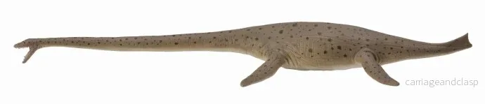 CollectA - Thalassomedon - Deluxe - Skala 1:40 - Bild 2