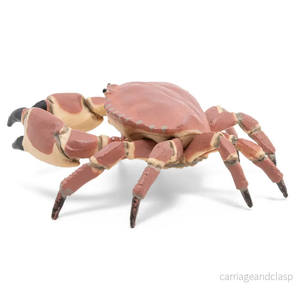 Papo - Krabba (Brunkrabba) - Bild 2