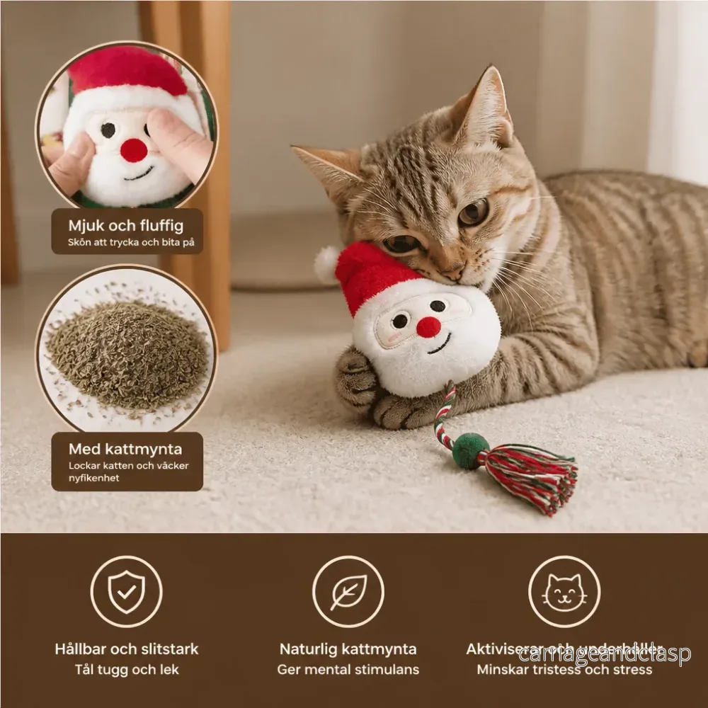 Julrepstavla Med Kattmynta För Katter - Bild 2