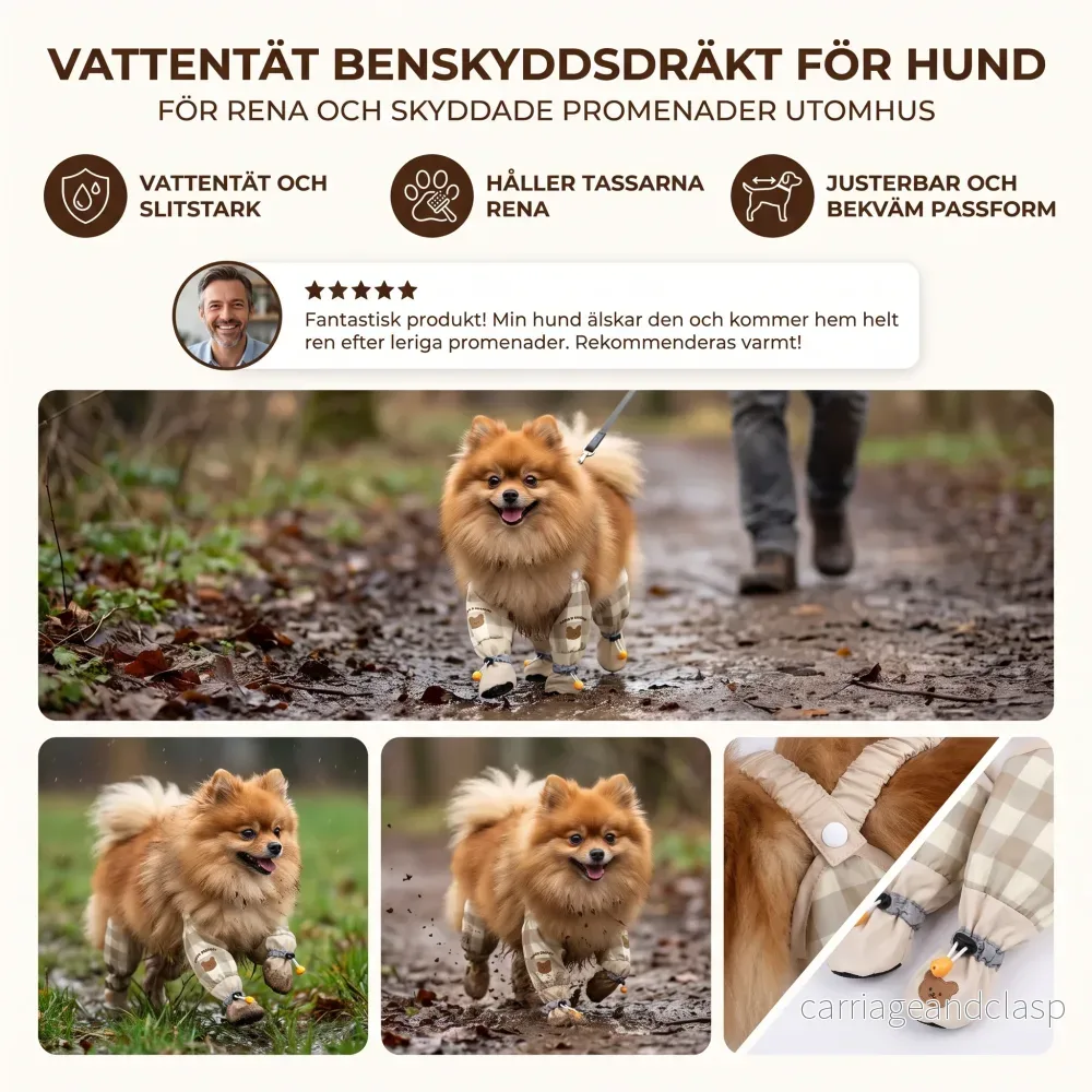 Vattentät Benskyddsdräkt För Hund – För Rena Och Skyddade Promenader Utomhus - Bild 3