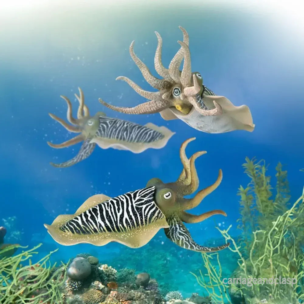 CollectA - Sidensepia (Common Cuttlefish) - Bild 3