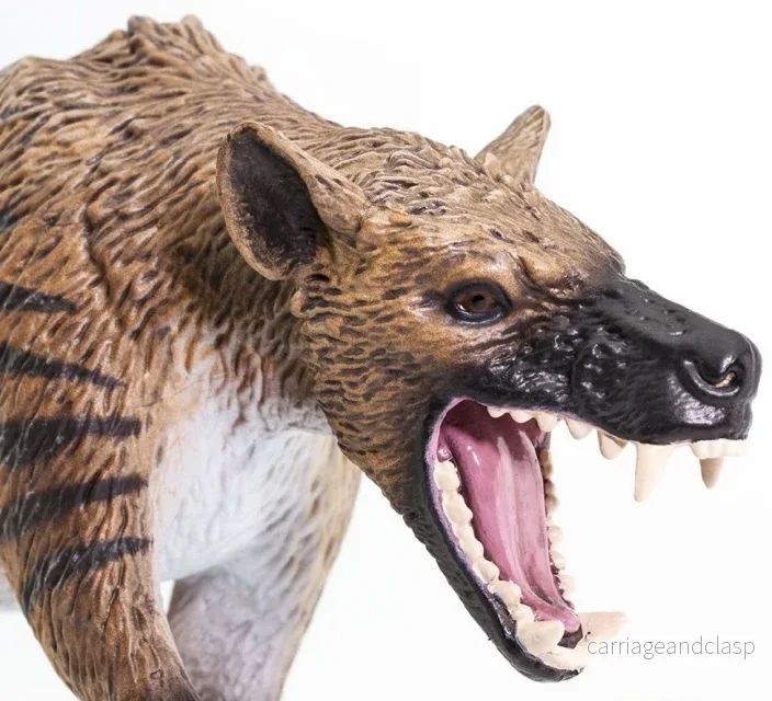 Safari Ltd - Hyaenodon - Bild 2