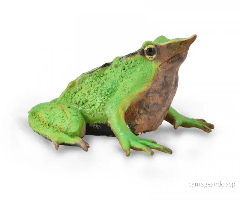 CollectA - Darwins groda (Darwin's Frog) - Bild 2