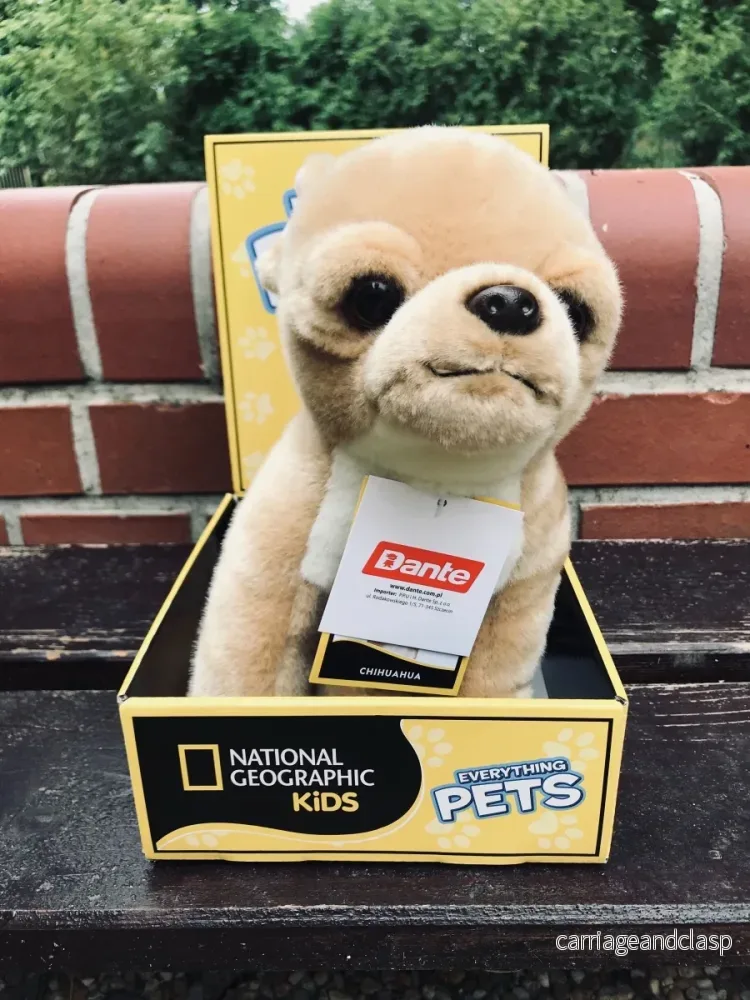 National Geographic Kids: Chihuahua - Bild 3