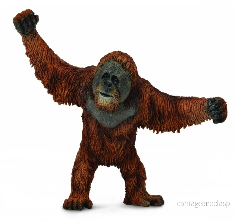CollectA – Orangutang (Hane) CollectA – Orangutang (Hane)