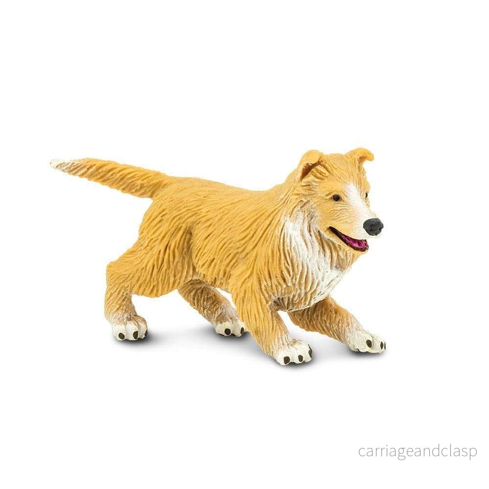 Safari Ltd - Collie valp