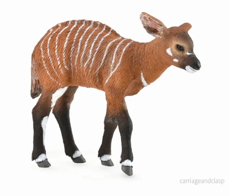 CollectA – Bongo kalv CollectA – Bongo kalv