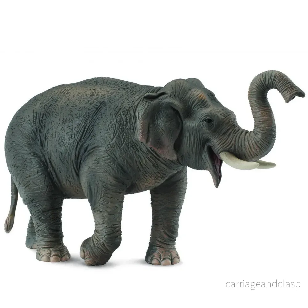 CollectA - Asiatisk Elefant