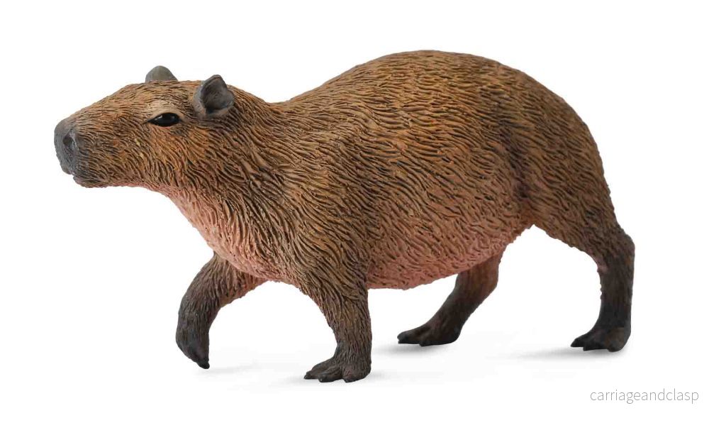 CollectA - Kapybara