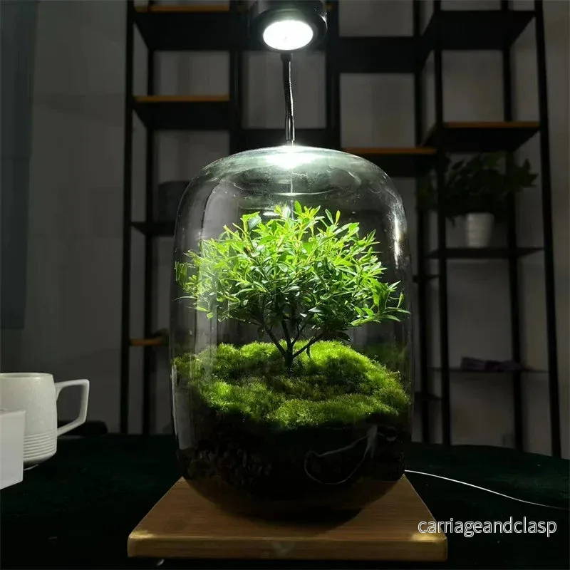 Mikro Landskap Grön Oas Glas Vas | Veska - Bild 3