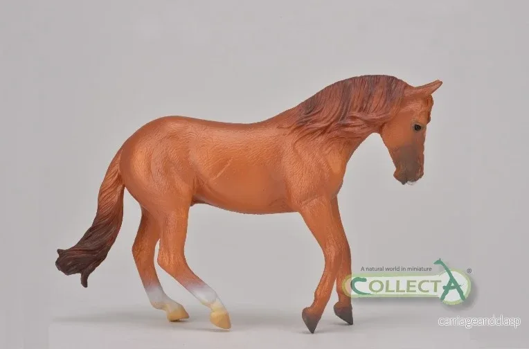 CollectA - Australisk boskapshäst fux (Australian Stock Horse) hingst - Bild 2