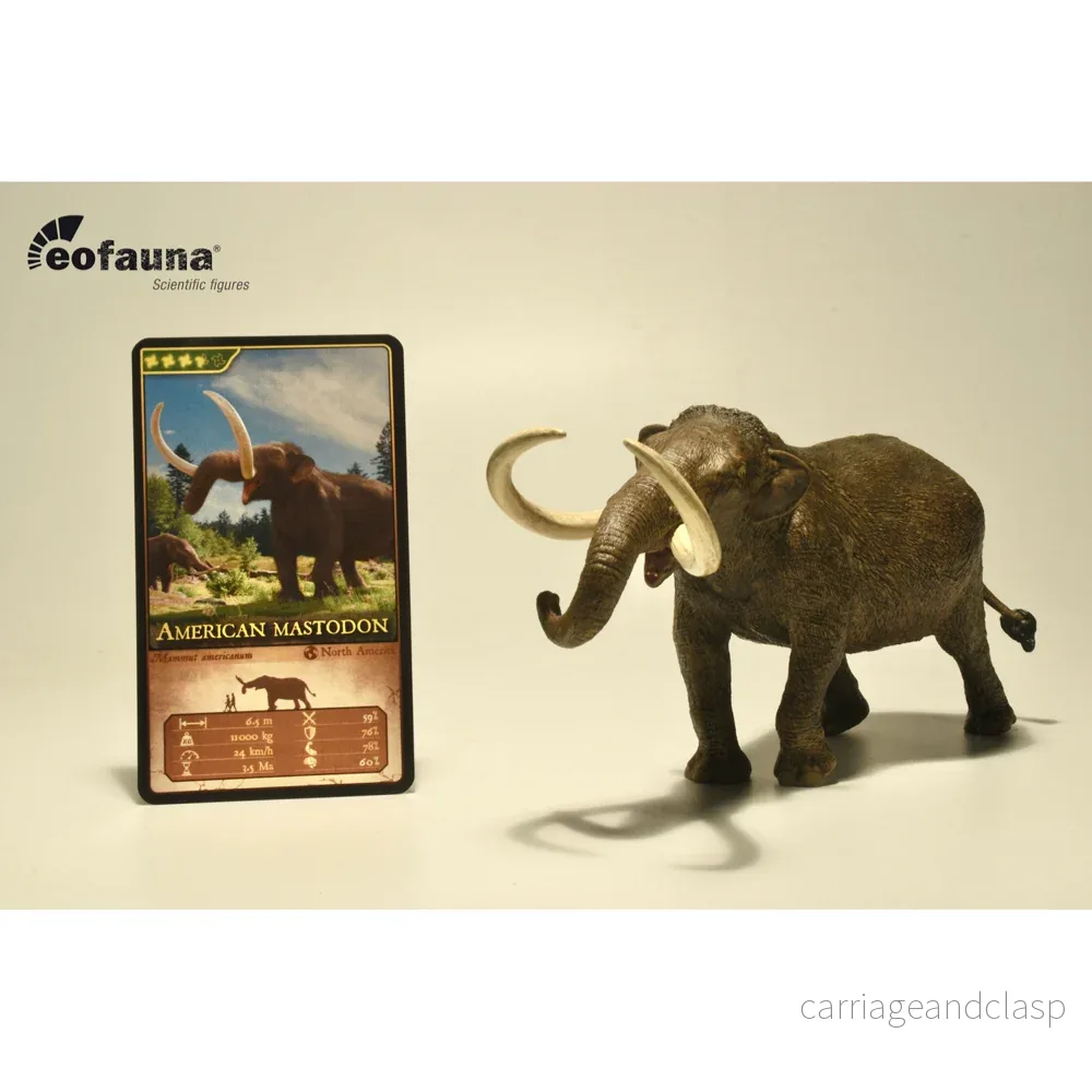Eofauna – Amerikansk mastodont (Mammut americanum)