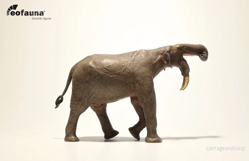 Eofauna - Deinotherium (D. giganteum) - Bild 3