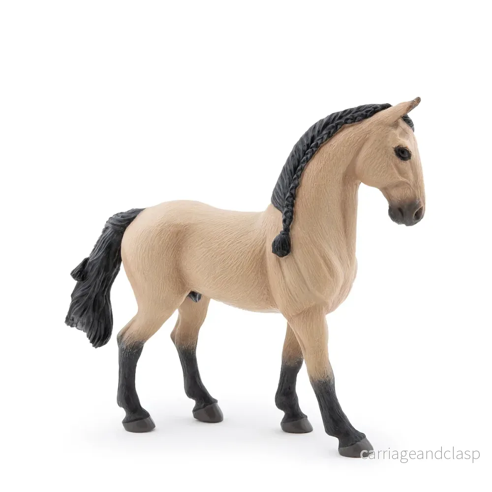 Papo - Lusitano hingst