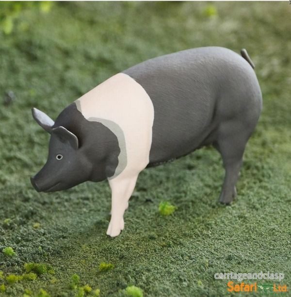 Safari Ltd - Hampshire Gris - Bild 3