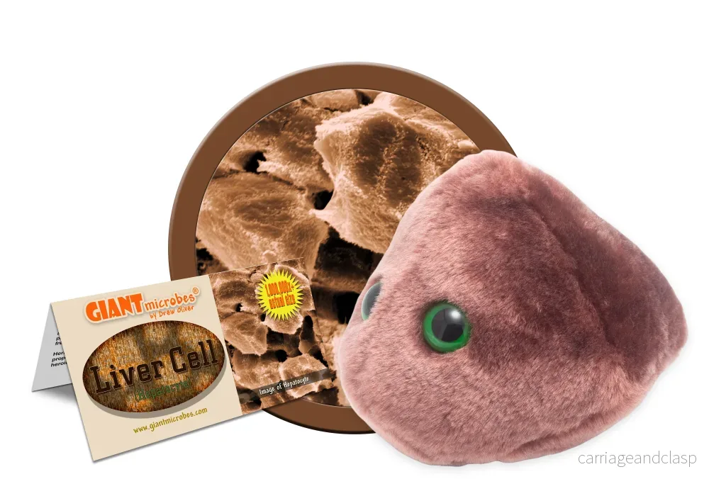 GIANTmicrobes - Liver Disease (Cirrhosis) - Leversjukdom