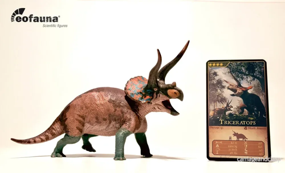 Eofauna - Triceratops sp (Cryptic) - Bild 3