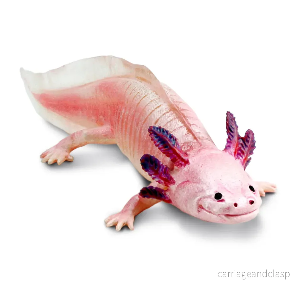 Safari Ltd – Axolotl Safari Ltd – Axolotl