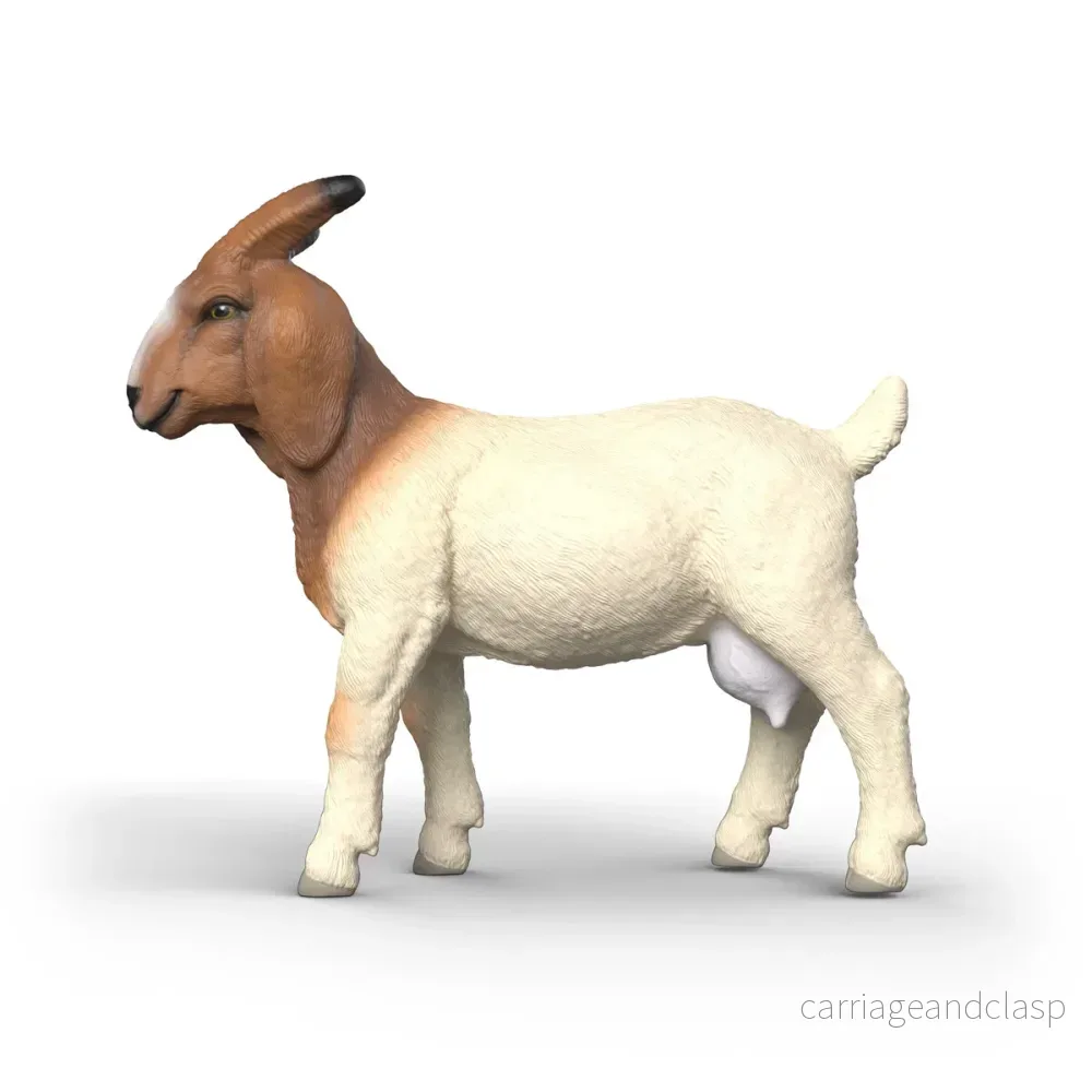 Schleich - Boerget (Boer goat) - Bild 2