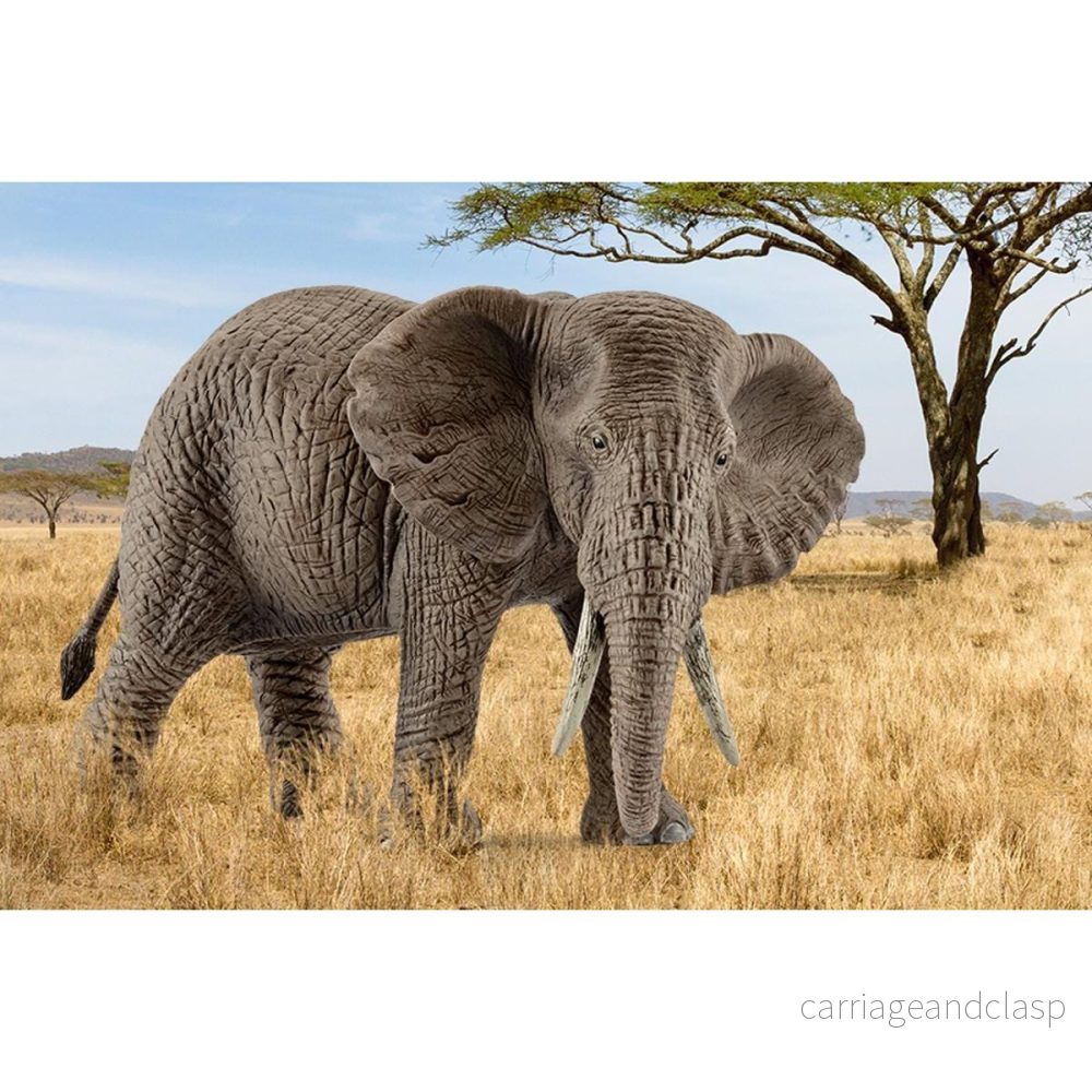 Schleich - Afrikansk elefanthona - Bild 2