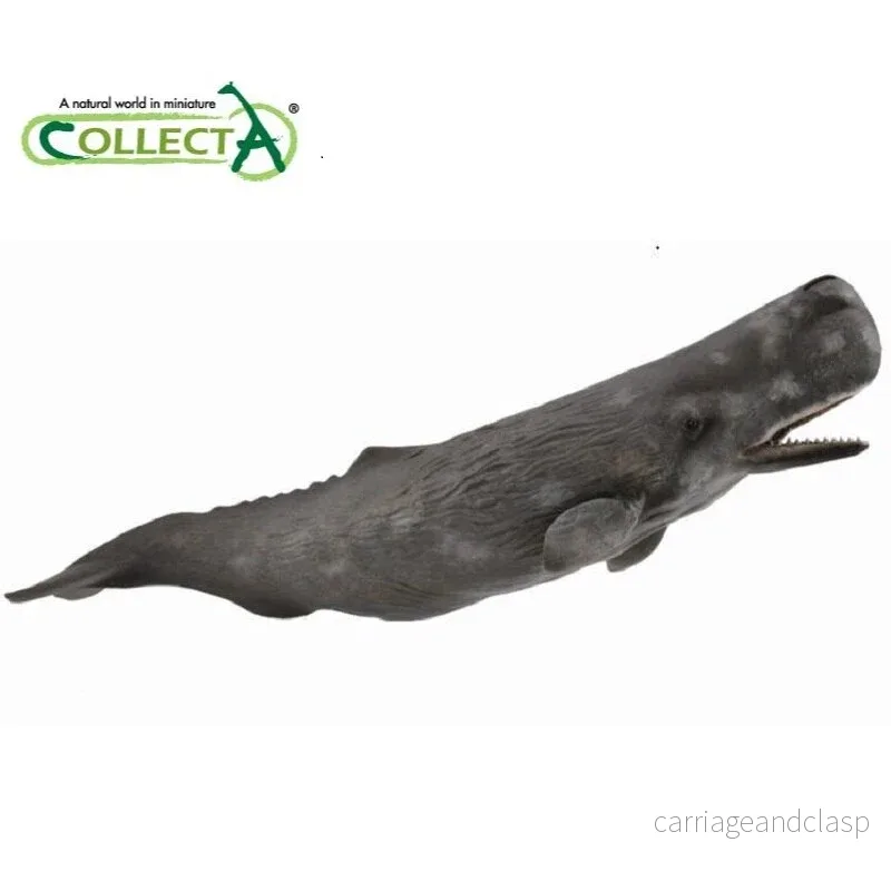 CollectA - Kaskelot