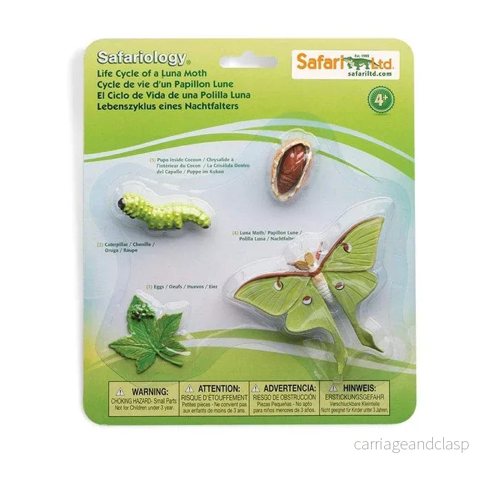 Safari Ltd – Livscykel av en Månspinnare (Actias luna) – Safariology® Safari Ltd – Livscykel av en Månspinnare (Actias luna) – Safariology®