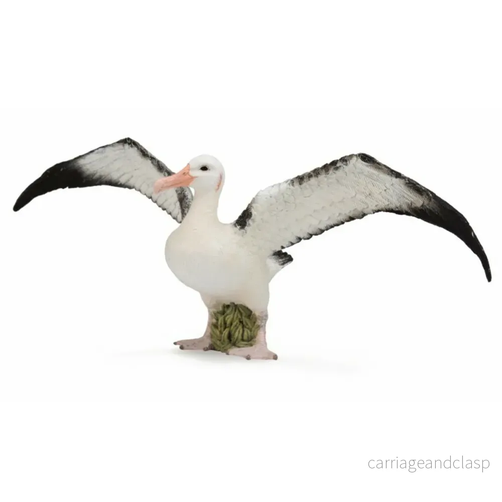 CollectA – Vandringsalbatross CollectA – Vandringsalbatross