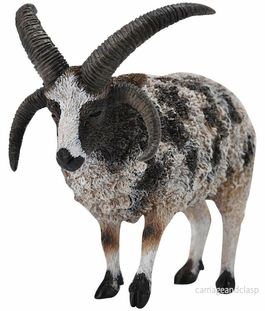 CollectA - Jacobsfår - Bild 2