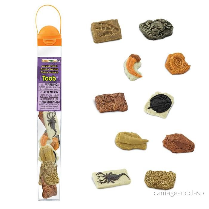 Safari Ltd – Forntida fossiler TOOB® Safari Ltd – Forntida fossiler TOOB®