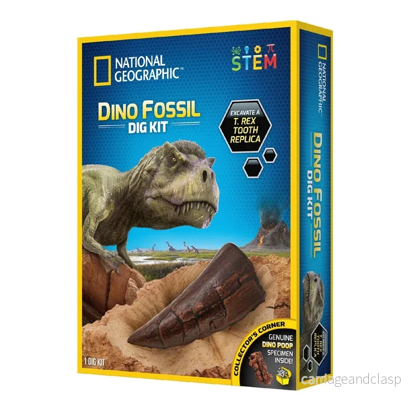 National Geographic, Gräv-kit tyrannosaurus tand replica