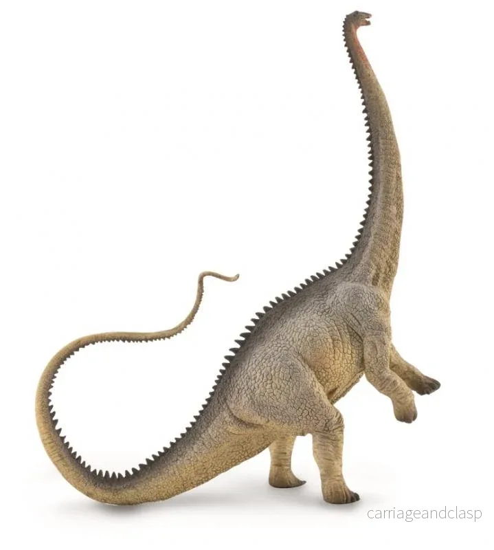 CollectA - Diplodocus grå
