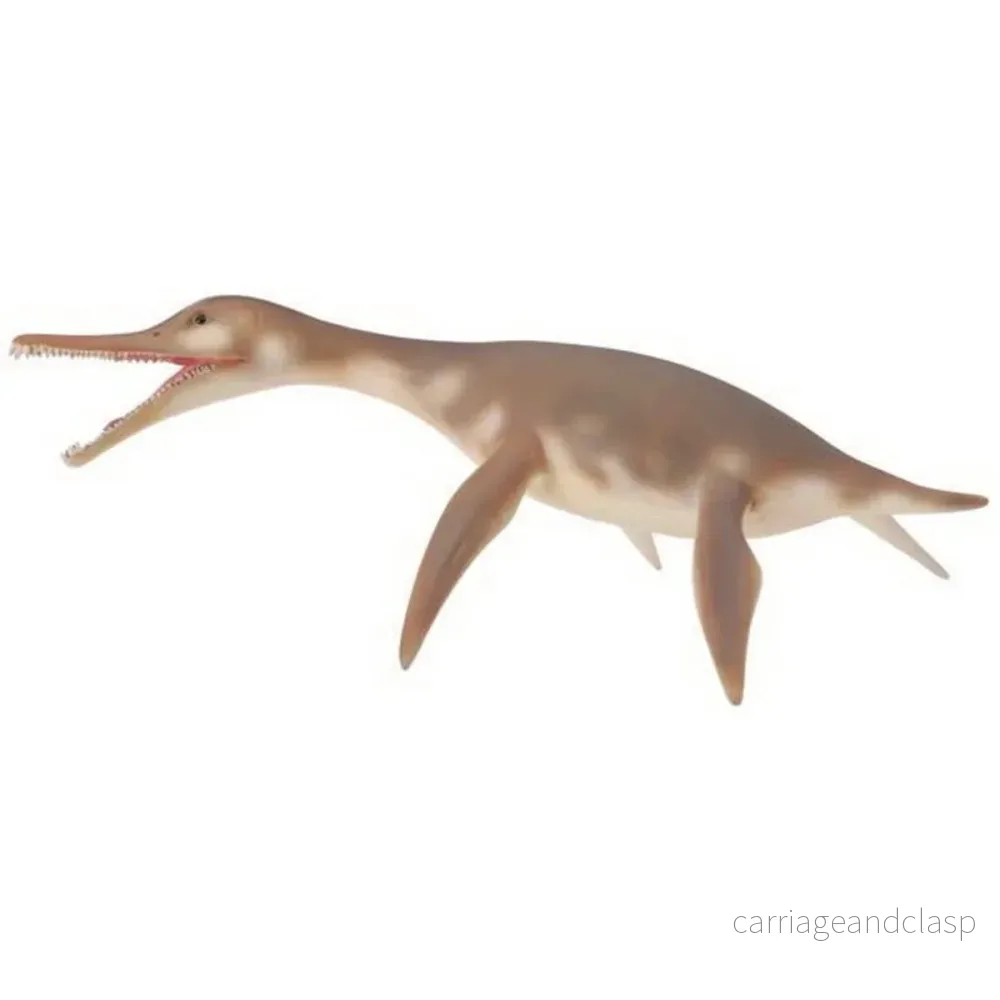 CollectA – Dolichorhynchops CollectA – Dolichorhynchops