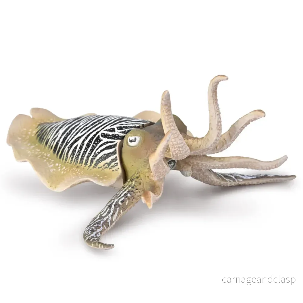 CollectA - Sidensepia (Common Cuttlefish)