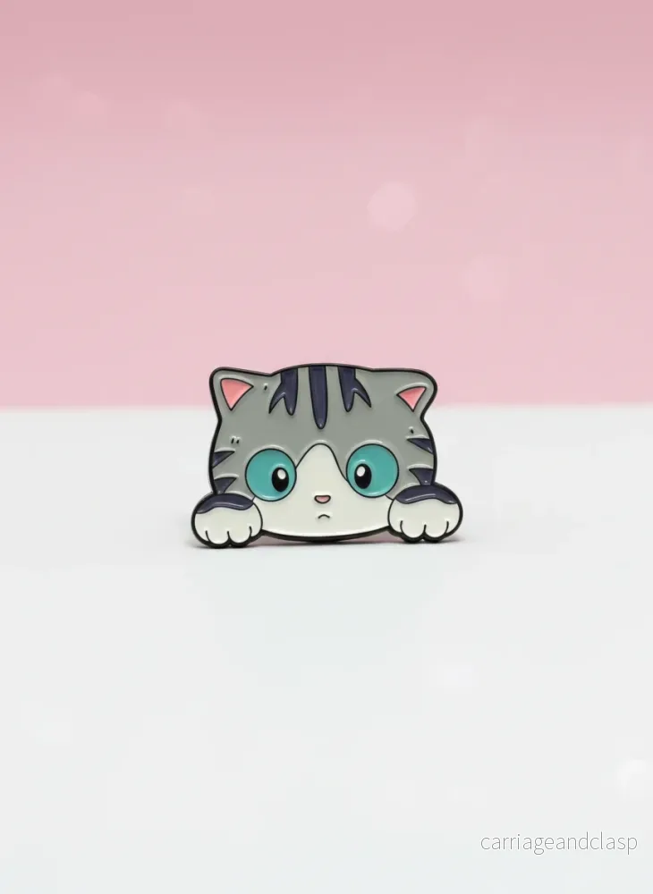 Pin - Grå nyfiken katt