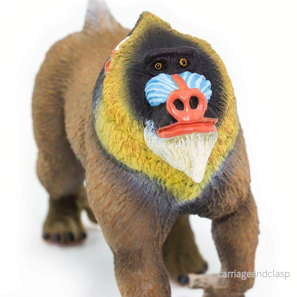 Safari Ltd - Mandrill - Bild 2