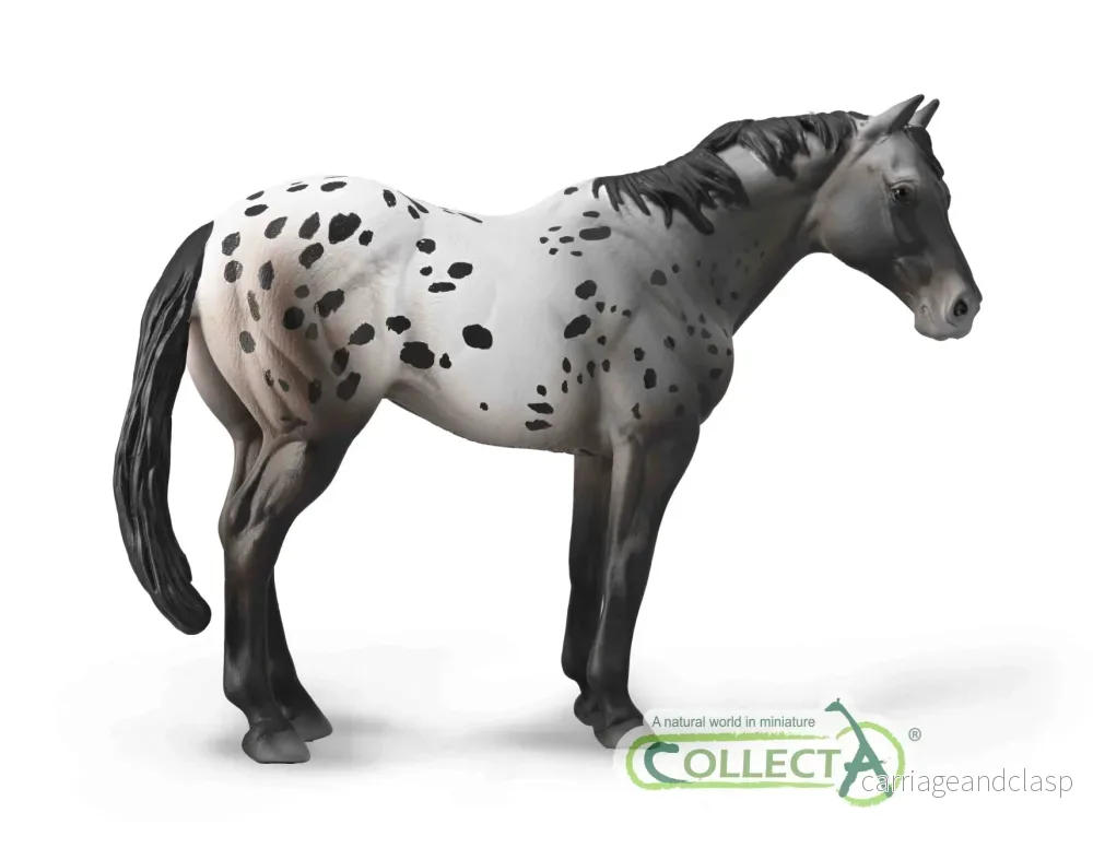 CollectA - Appaloosa Blue Roan